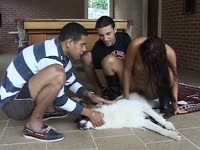 Kinky lady rides a furry dog's cock with her friends